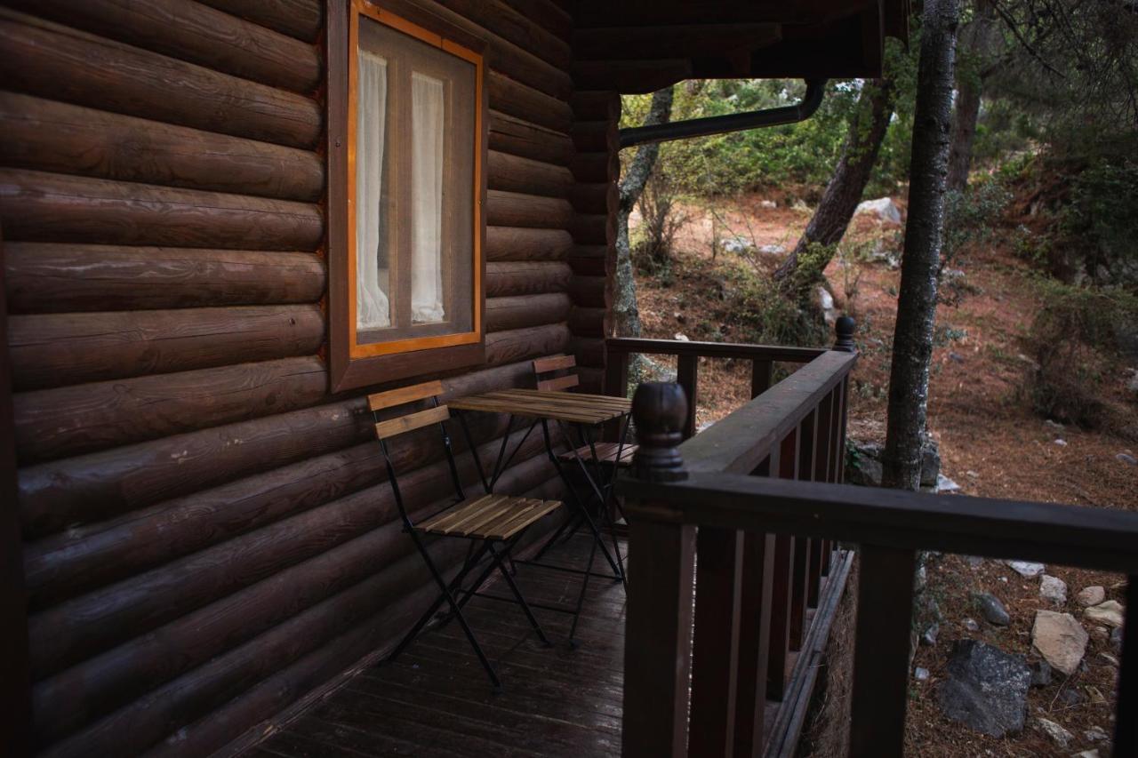 Camping Tajorodillo Grazalema Exterior photo